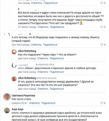 В Палехе в центральном парке вырубили вековые липы